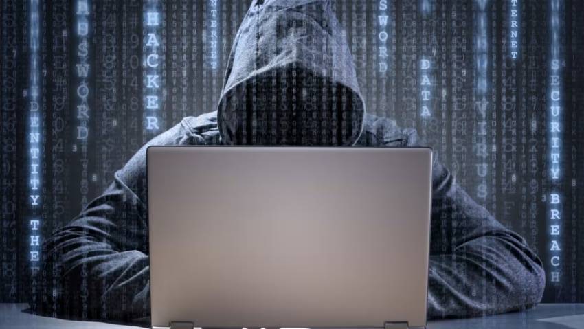 河北区小程序定制开发：.NET的利刃与暗礁